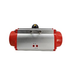 Pneumatic Actuator